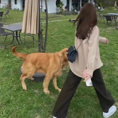 侠心艳曲
